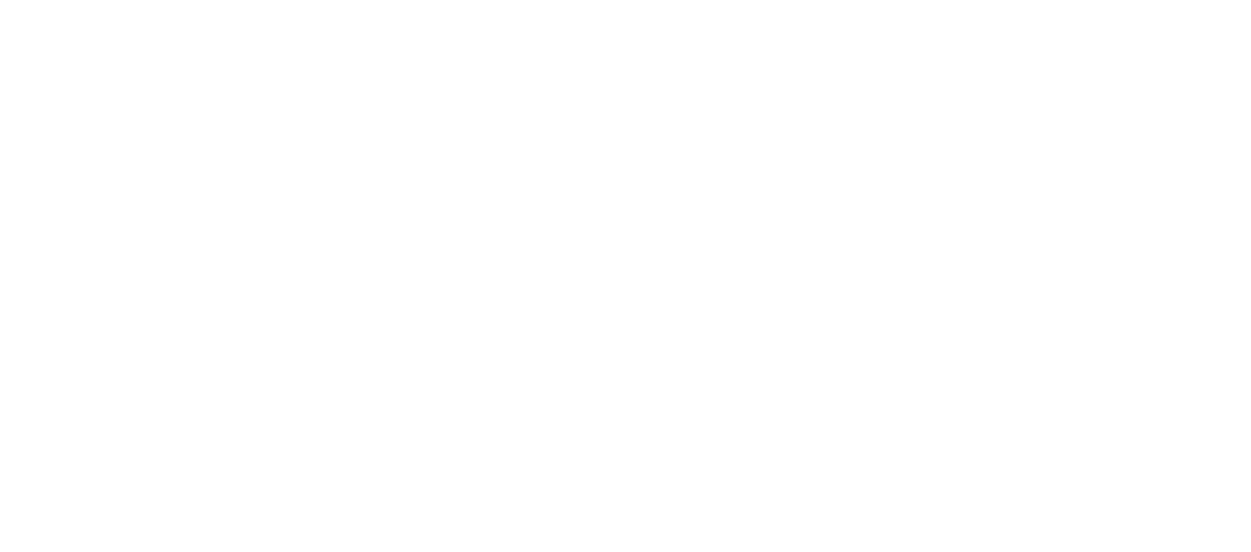Homes for Students logo new